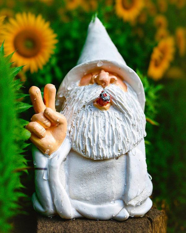 Leverse Middle Finger Decor Statue, 5.9in Naughty Smoking Wizard Dwarf- Funny Garden Gnomes Outdoor Decorations for Lawn Patio Yard Home Decor Easter Halloween - Image 27