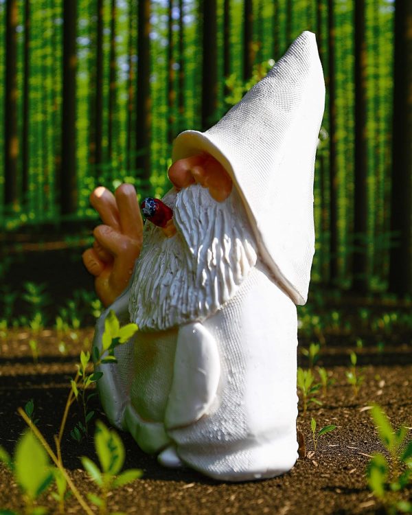 Leverse Middle Finger Decor Statue, 5.9in Naughty Smoking Wizard Dwarf- Funny Garden Gnomes Outdoor Decorations for Lawn Patio Yard Home Decor Easter Halloween - Image 30