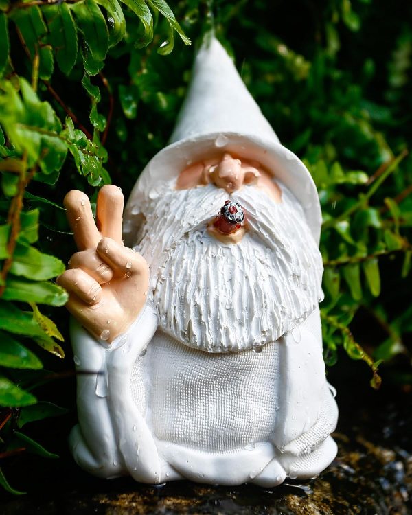 Leverse Middle Finger Decor Statue, 5.9in Naughty Smoking Wizard Dwarf- Funny Garden Gnomes Outdoor Decorations for Lawn Patio Yard Home Decor Easter Halloween - Image 35
