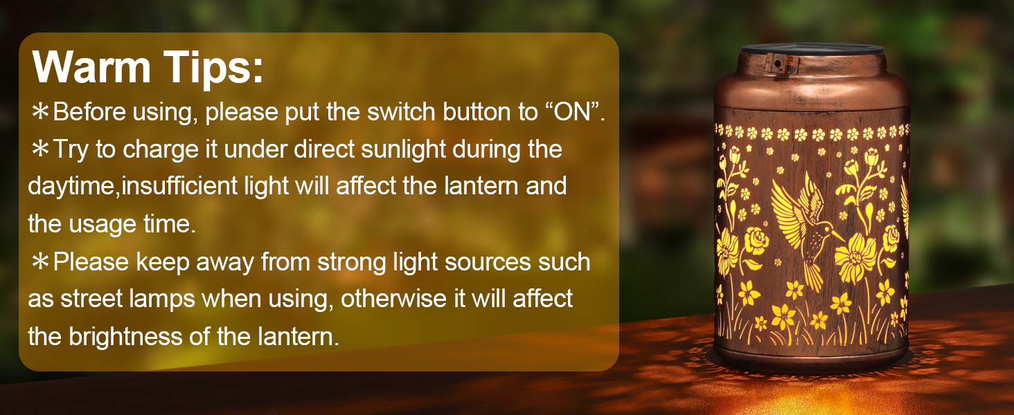 Solar Lanterns-3